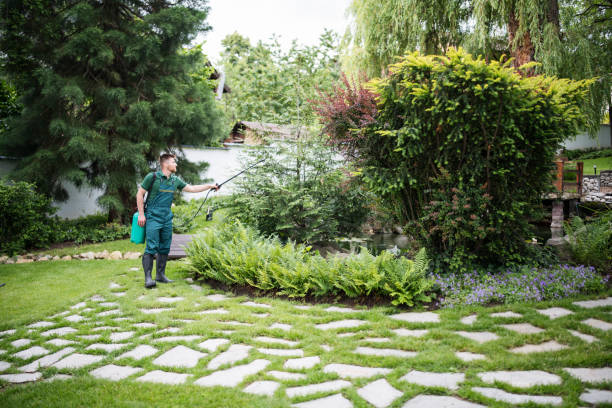 Best Pest Prevention Services  in Reidsville, GA