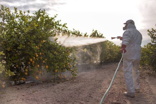 Best Residential Pest Control  in Reidsville, GA