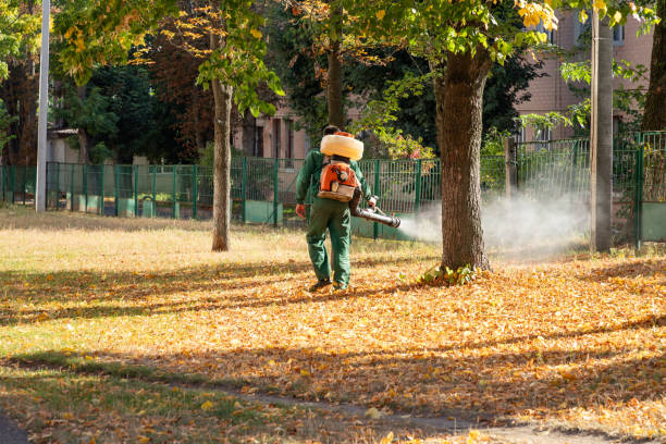 Best Flea Control Services  in Reidsville, GA