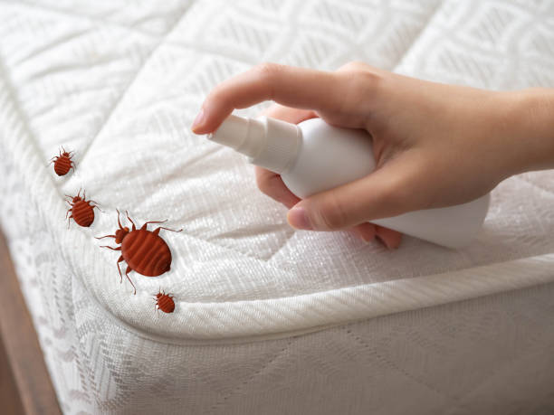 Best Commercial Pest Control Services  in Reidsville, GA