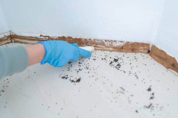 Best Pest Prevention Services  in Reidsville, GA